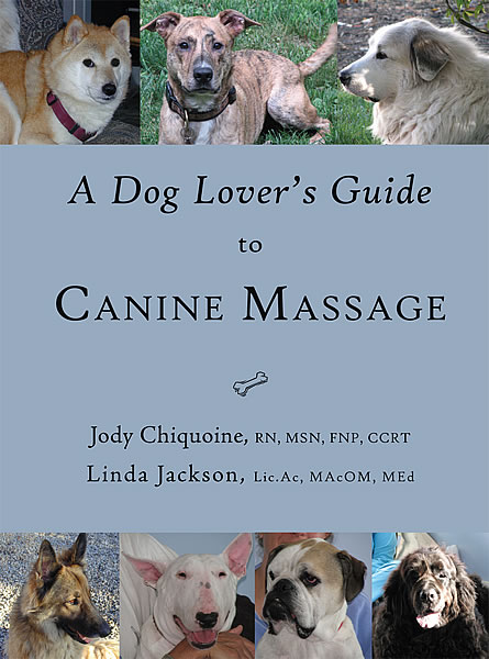 A Dog Lover’s Guide to Canine Massage